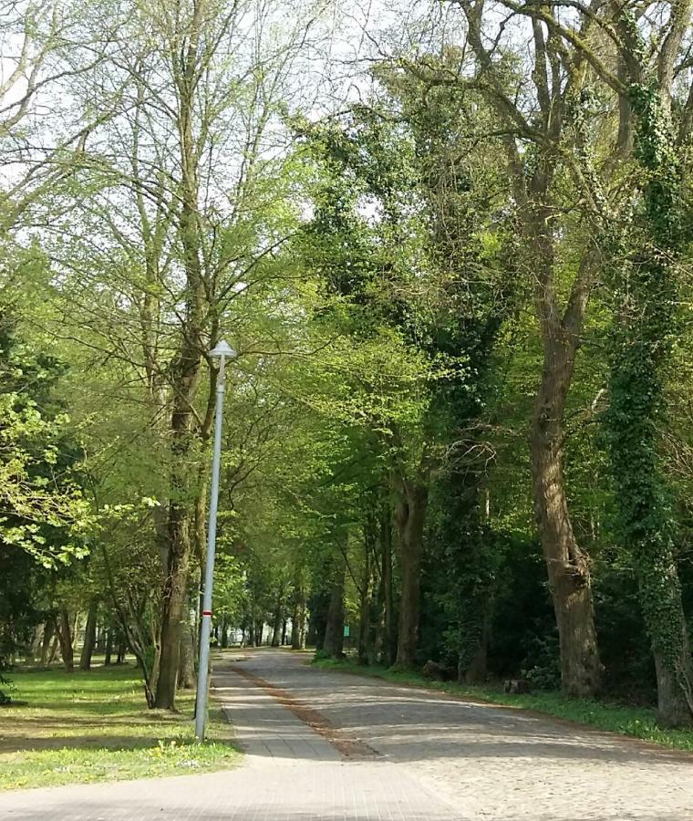 Ferienwohnung "Am Schlosspark" Neetzow Kültér fotó